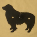 border-collie-1 hook image